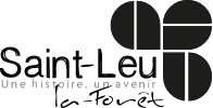 logo saintleu